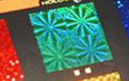 Hologram Printing

Like the credit cards